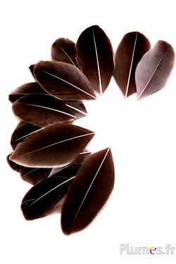 Blütenblätter aus Federn - 6-8 x 3-4 cm - rosa